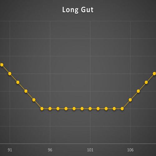 استراتژی Long Gut
