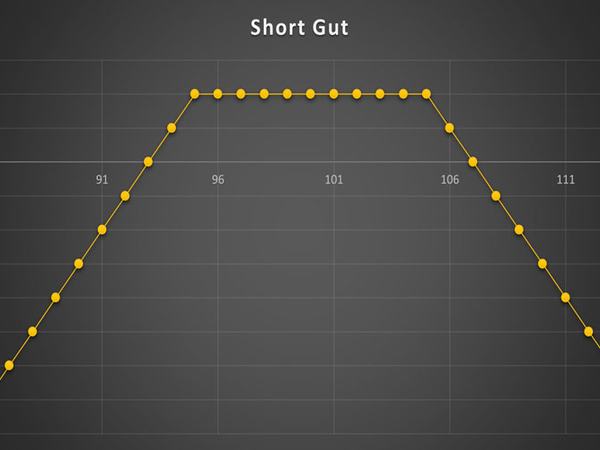 استراتژی Short Gut