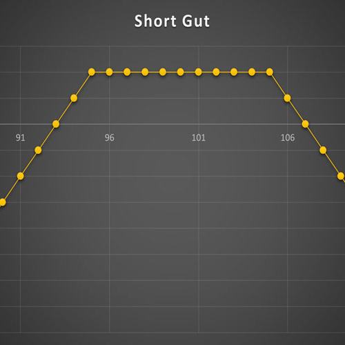 استراتژی Short Gut