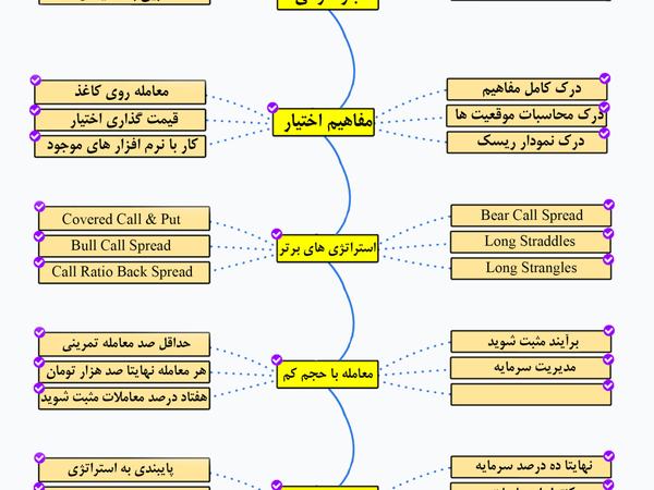 نقشه راه اختیار معامله